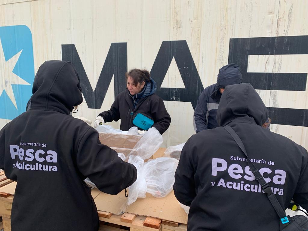 Desde la Subsecretaría de Pesca impulsan la igualdad de género