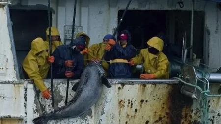 Consejo Federal Pesquero. Sesión semanal, Acta Nro. 9/2023