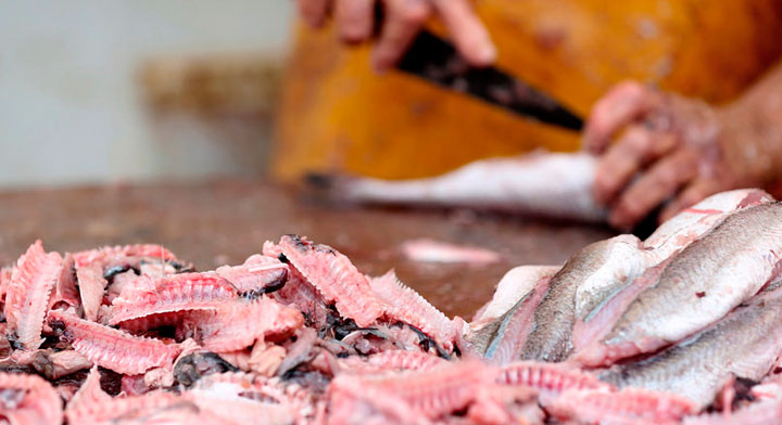 Estudian en Finlandia producir alimento con residuos pesqueros