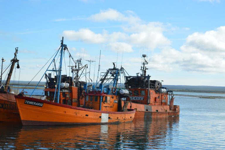 Consejo Federal Pesquero. Sesi贸n semanal, Acta Nro. 4-5-6/2023