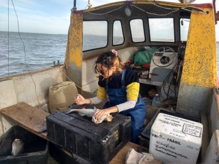 INIDEP trabajó sobre el recurso pescadilla y gatuzo en artesanales de Claromecó