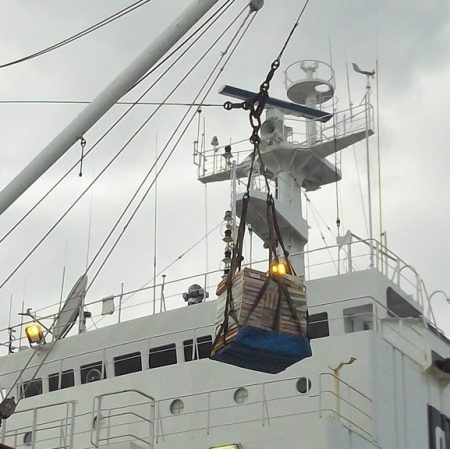 Estibadores de Mar del Plata fueron recibidos en la SubsecretarÃa de Pesca