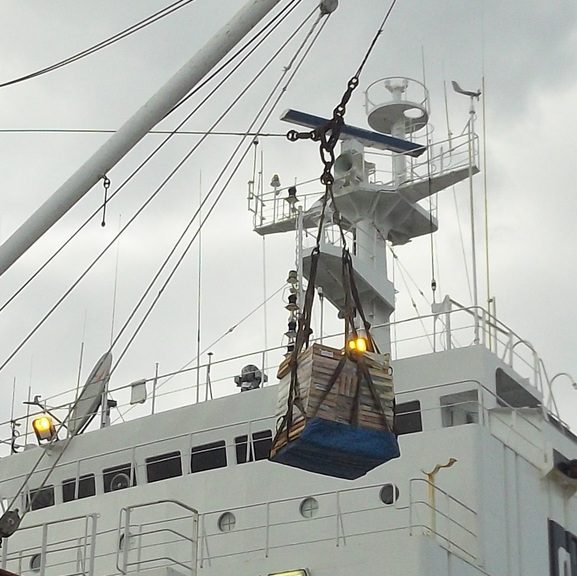 Estibadores de Mar del Plata fueron recibidos en la Subsecretaría de Pesca
