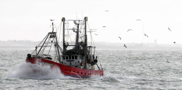 Consejo Federal Pesquero. Sesión semanal, Acta Nro. 10 y 11/2023