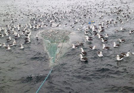 Consejo Federal Pesquero. Primera sesi贸n, Acta CFP Nro.01/2024 (primera parte)