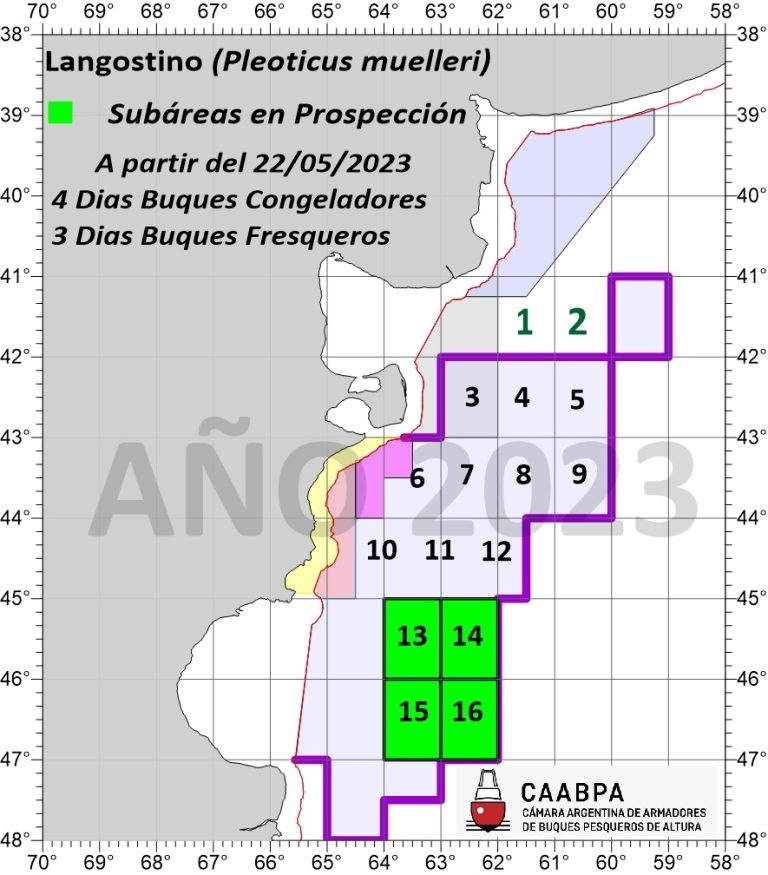 Calamar y langostino acaparan la atención en la pesca argentina
