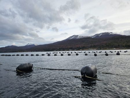 Toma impulso la Acuicultura y Maricultura en la patagonia argentina