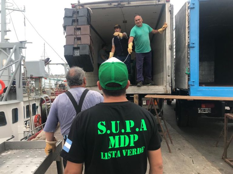 Malestar de estibadores por menos trabajo