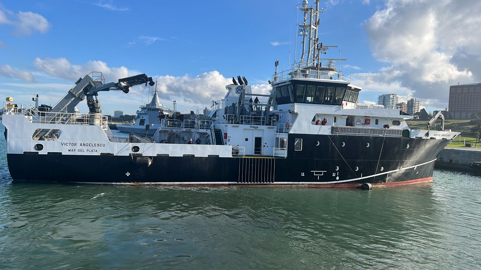 Merluza, cría y desove. Nueva campaña del BIP Víctor Angelescu