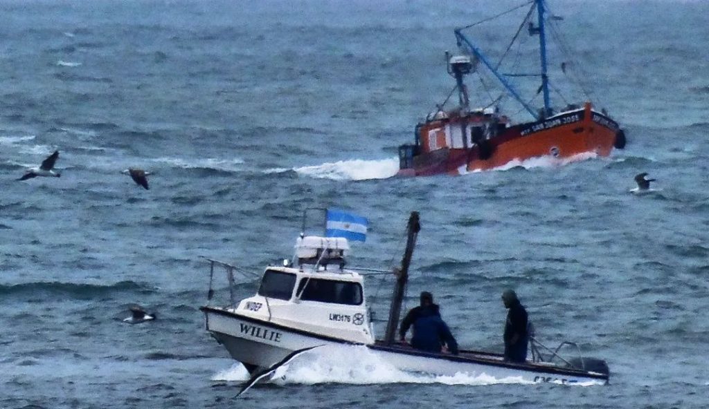 El INIDEP continúa investigando el langostino en aguas linderas a la provincia