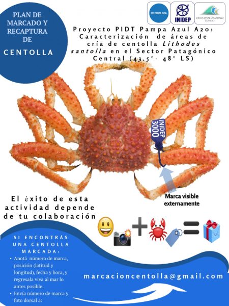 Plan del INIDEP para marcar 5.000 hembras de centolla