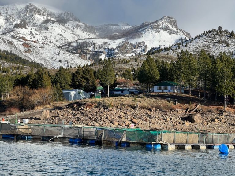 Chubut. Presentaron ante autoridades nacionales varios proyectos de acuicultura