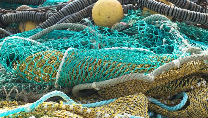 Nueva Disposición, trazabilidad en aparejos de pesca - Pescare, redes de  pesca 