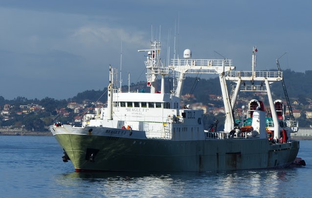 Récord de capturas de Loligo en Malvinas
