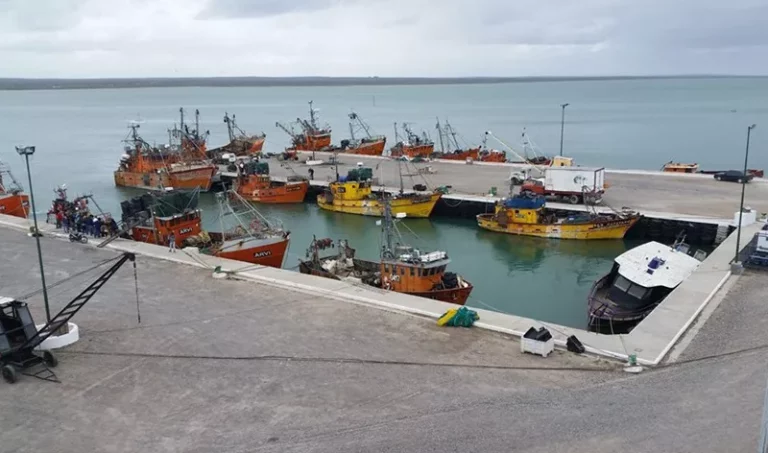 Golfo San MatÃas, RÃo Negro. Crisis en el sector pesquero, descenso brusco del stock de merluza común