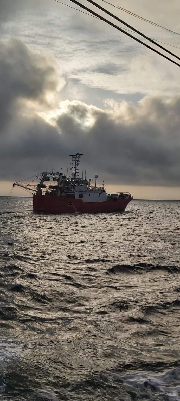 Langostino. Prohiben las operaciones de pesca bajo jurisdicción de aguas nacionales