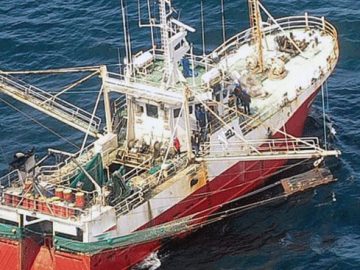 Arrancó la prospección en las Subáreas 10 y 11. Inicio flojo; poco y chico