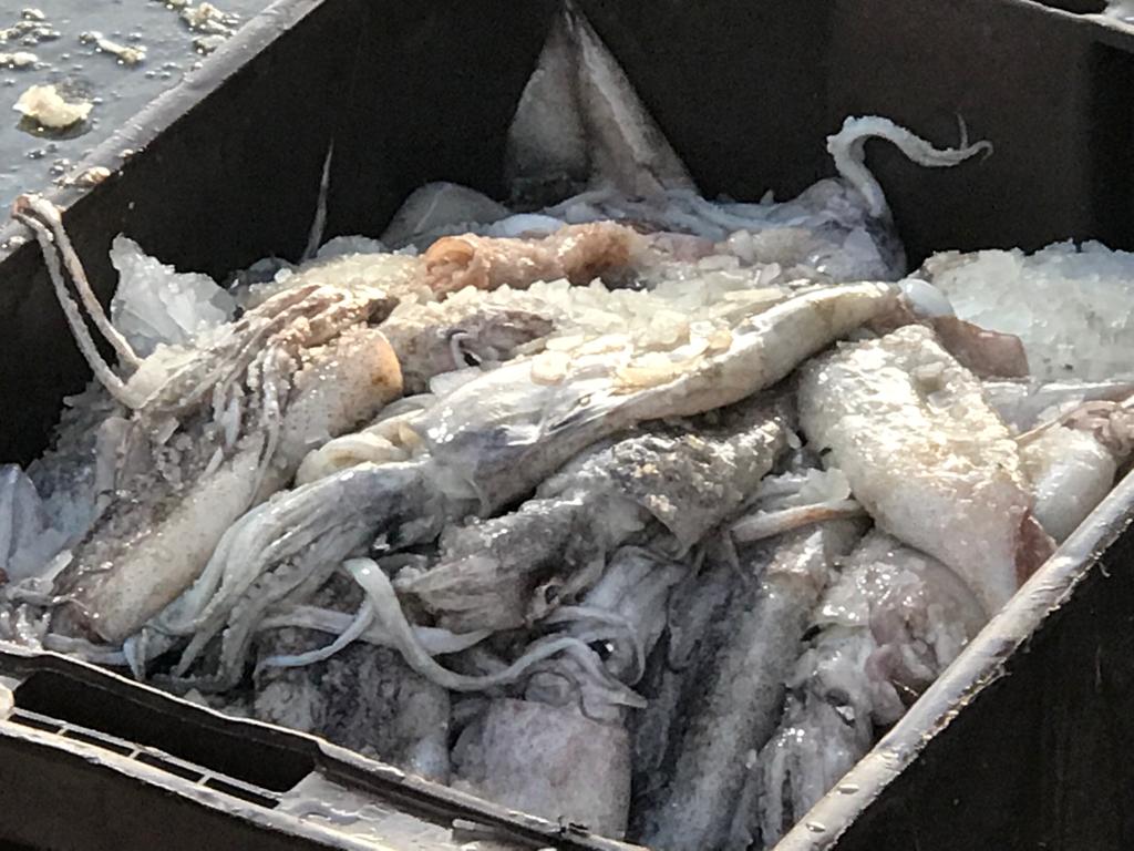 A partir de Octubre, el costo de las infracciones serán el 70% mas caras