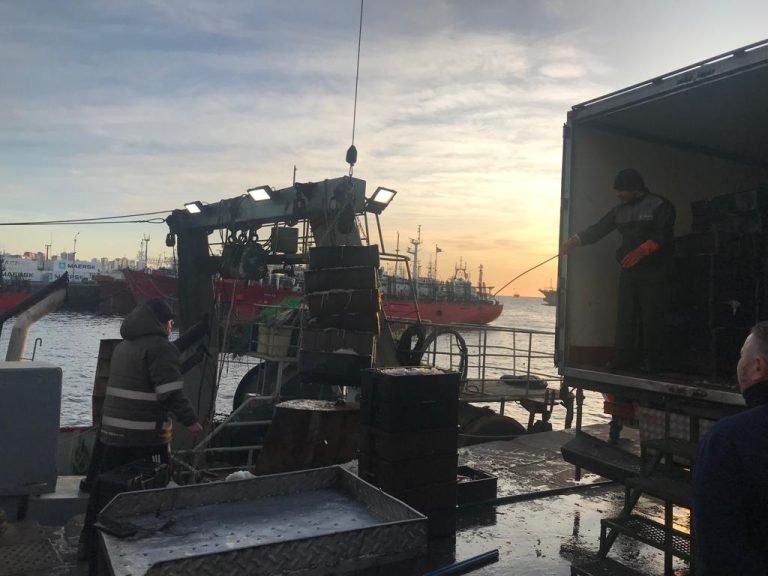 Fresqueros con buenas capturas de calamar