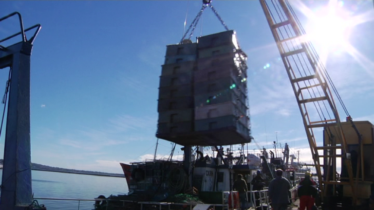 La CTMFM emiti贸 Resoluci贸n para la Captura Total Permisible de Gatuzo y veda para la Merluza Hubbsi en la Zona Com煤n de Pesca