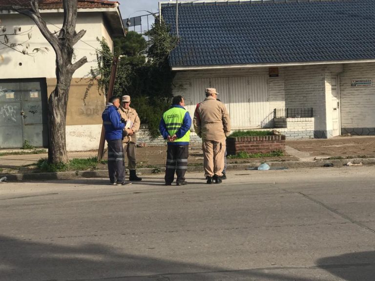 Operativo de control de la CNRT y Prefectura Naval Argentina delegaci贸n Mar del Plata en el puerto