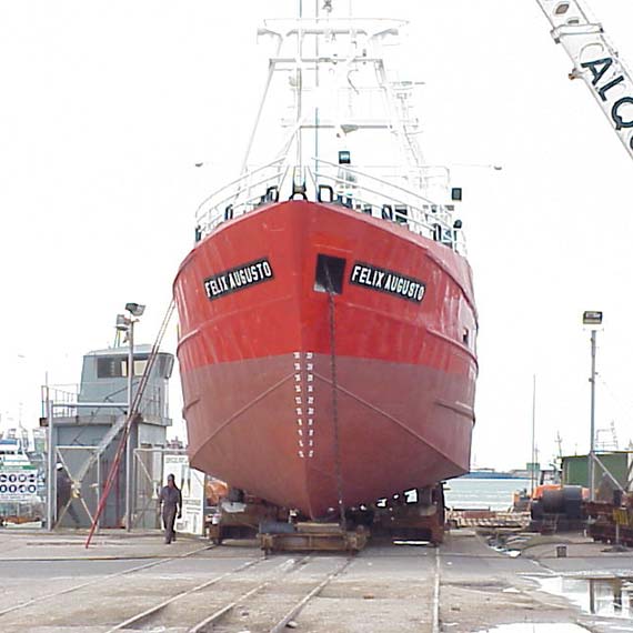 Inactividad comercial y proyecto pesquero, dos temas tratados en el Consejo Federal Pesquero