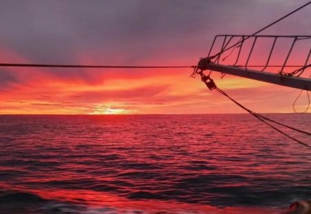 Reinicia actividades de pesca la flota tangonera, después del mal tiempo