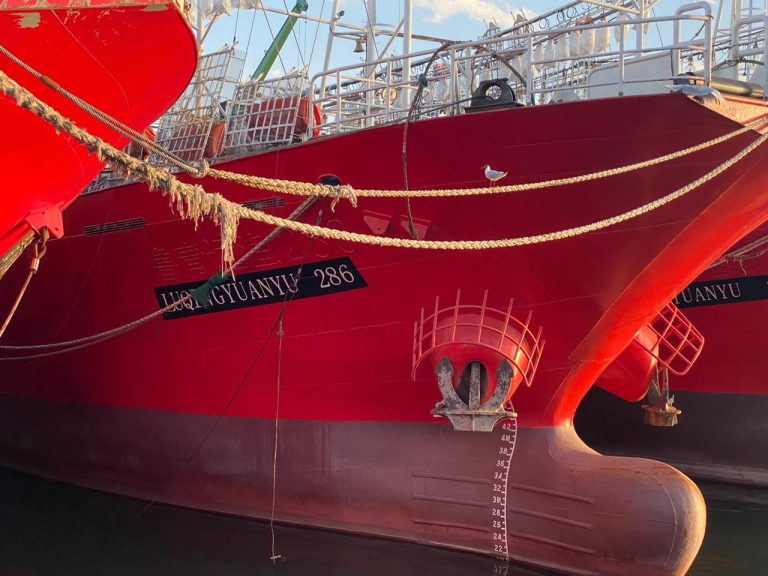 Consejo Federal Pesquero. Sesi贸n semanal, Acta Nro. 26/2023