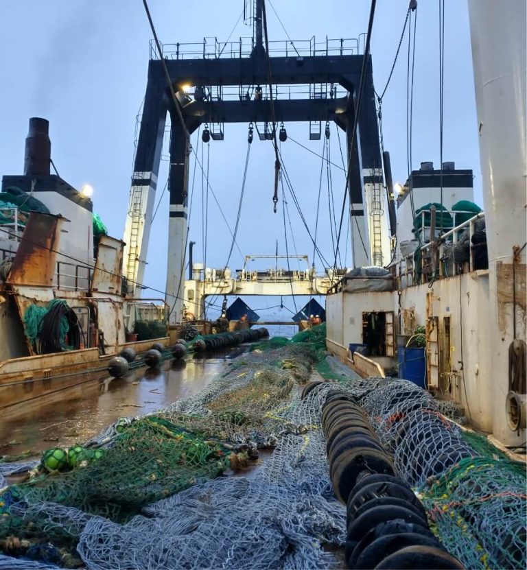 Nueva campa帽a para estudiar la Merluza Negra en el 脕rea de protecci贸n de la especie