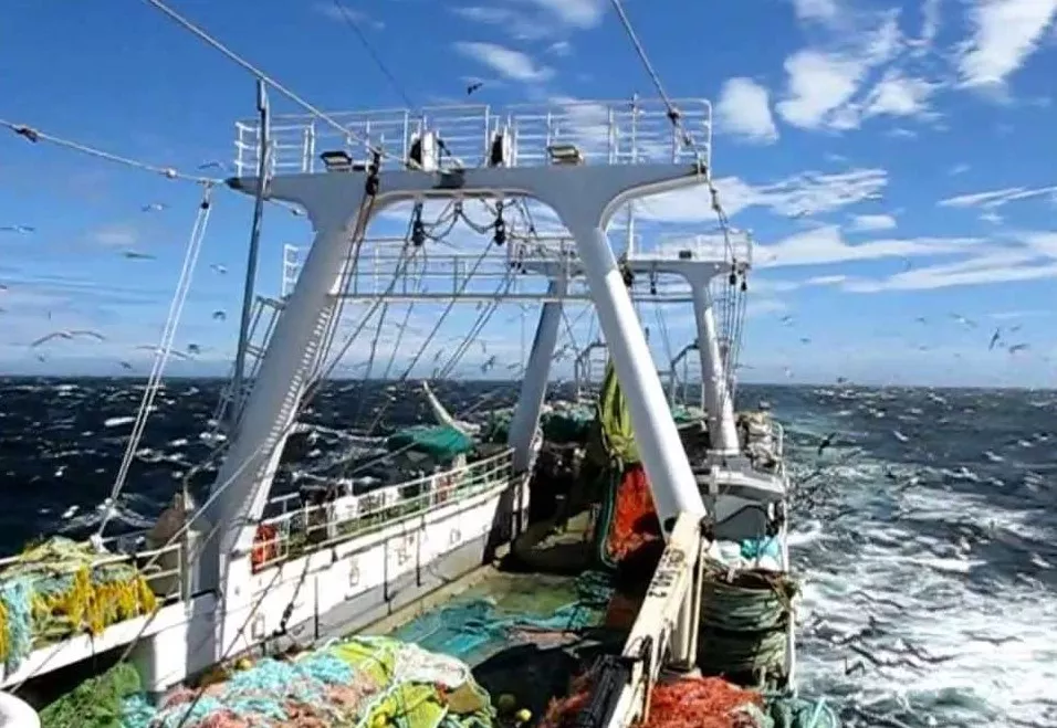 Poco calamar. Congeladores gallegos anticipan final de zafra en Malvinas