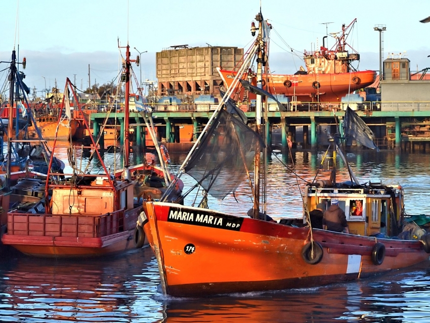 Proponen proyecto para salvaguardar las lanchas amarillas de la banquina de pescadores