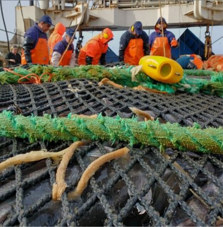 Se puso en marcha el CFP despu茅s de cinco meses