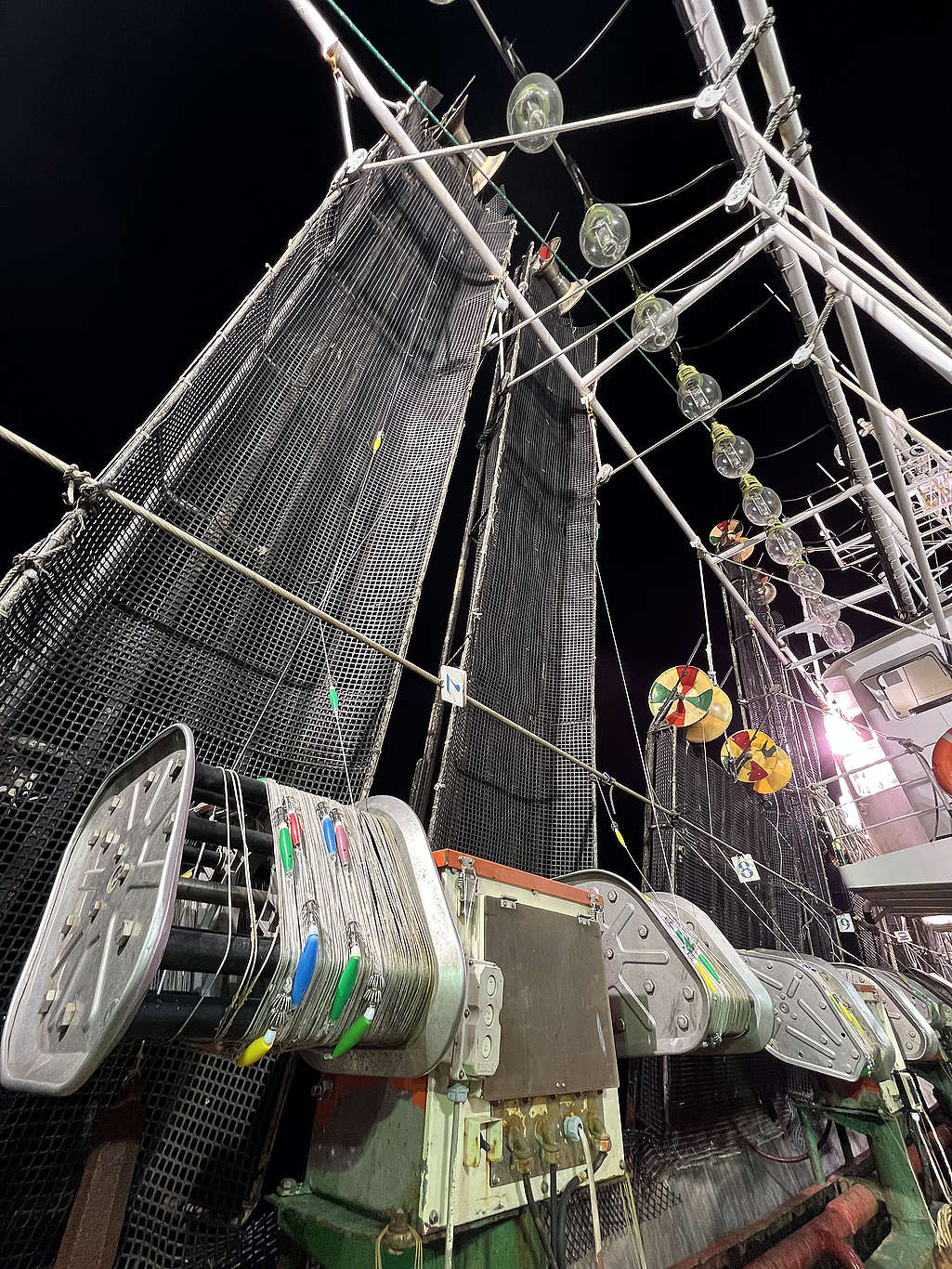 Calamar illex. El viernes próximo, finaliza la temporada