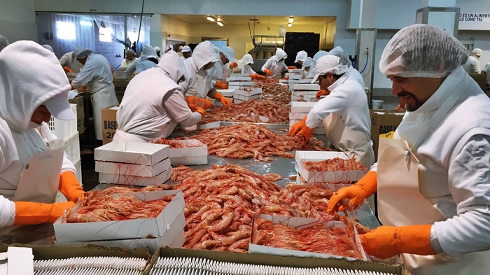 La AFIP mediante la Resolución Nro.5419/2013  parametrizó el procesado del langostino