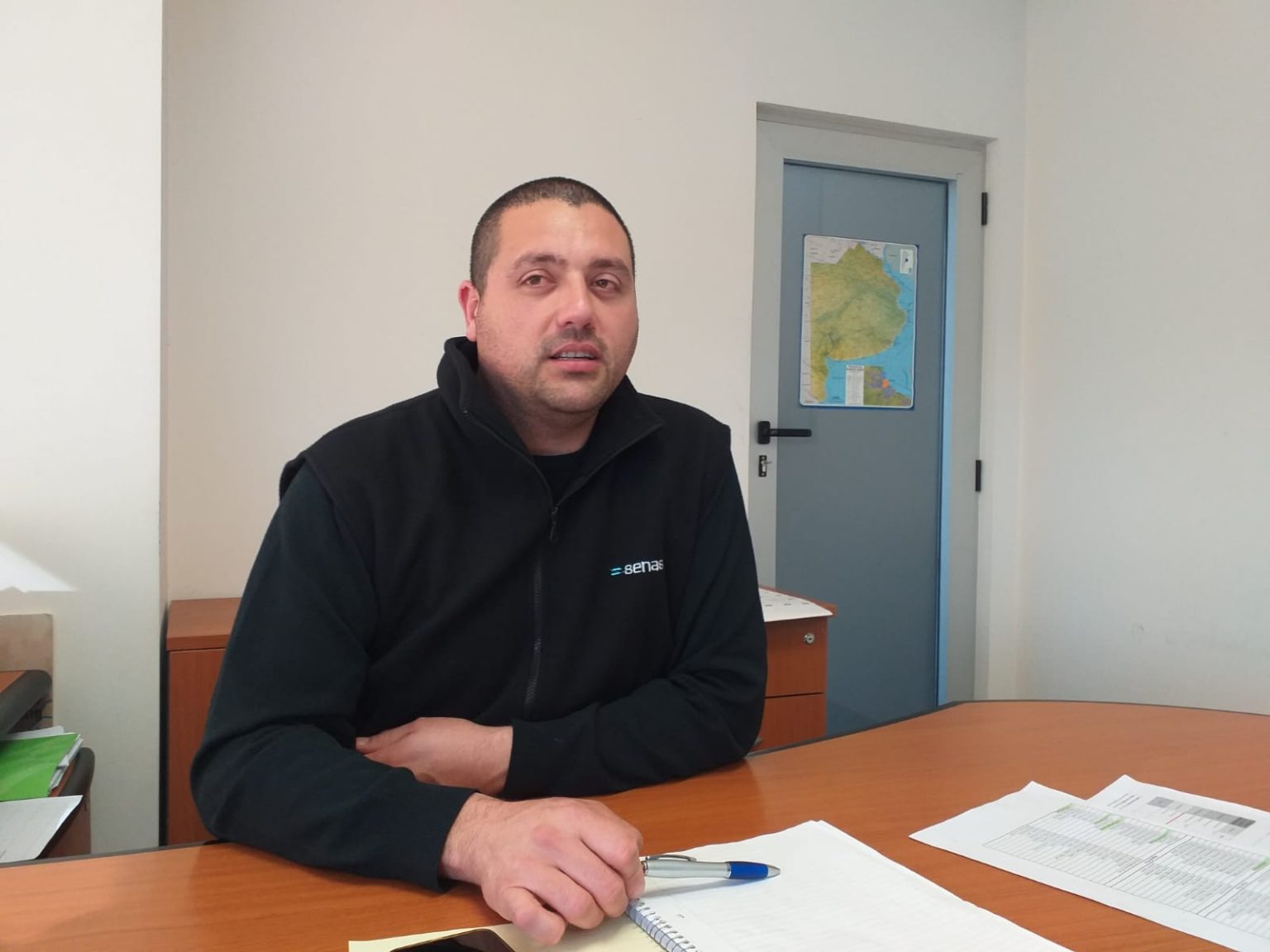 Gripe aviar en lobos marinos, SENASA ante un nuevo desafío