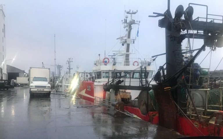 Demora en la zarpada de fresqueros de altura continuarán hasta la tarde de hoy