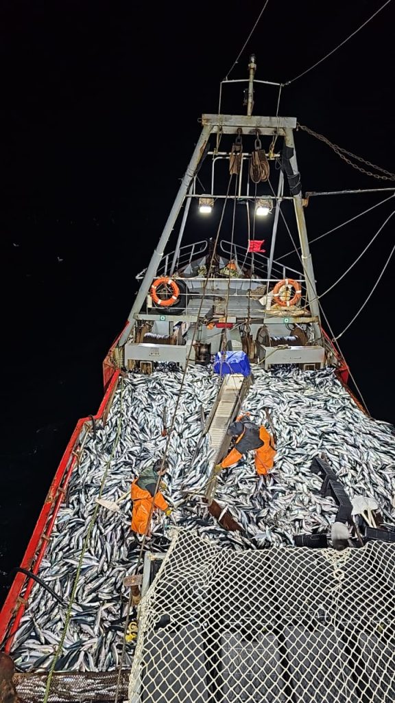 Consejo Federal Pesquero. Sesi贸n semanal, Acta Nro. 27/2023. Fondo Nacional Pesquero