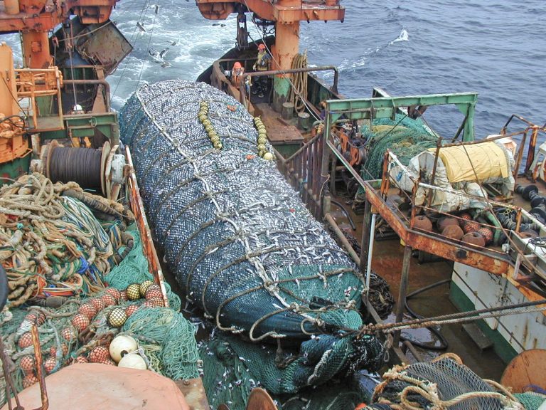 Argentina, economÃa imprevisible. España busca aumentar capacidad de bodega y soportar situación financiera de grandes grupos empresarios