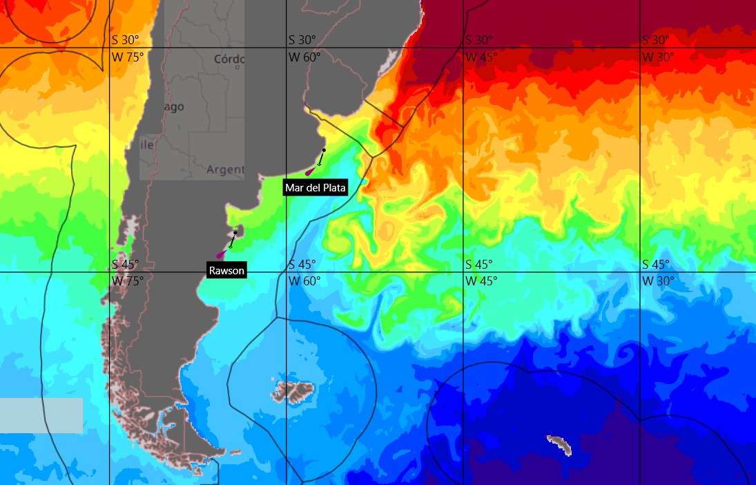 Investigan si el impacto ocasionado por cambios climáticos puede redistribuir las especies marinas