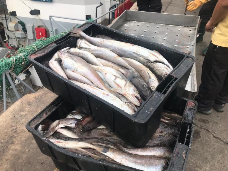 SOIP-CAIPA siguen en tratativas por llegar a un acuerdo salarial