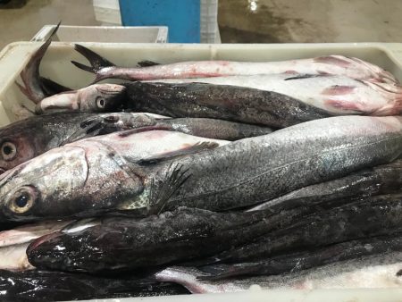 SOIP y c谩maras buscan encontrar un punto de equilibrio. Por el momento, lejos