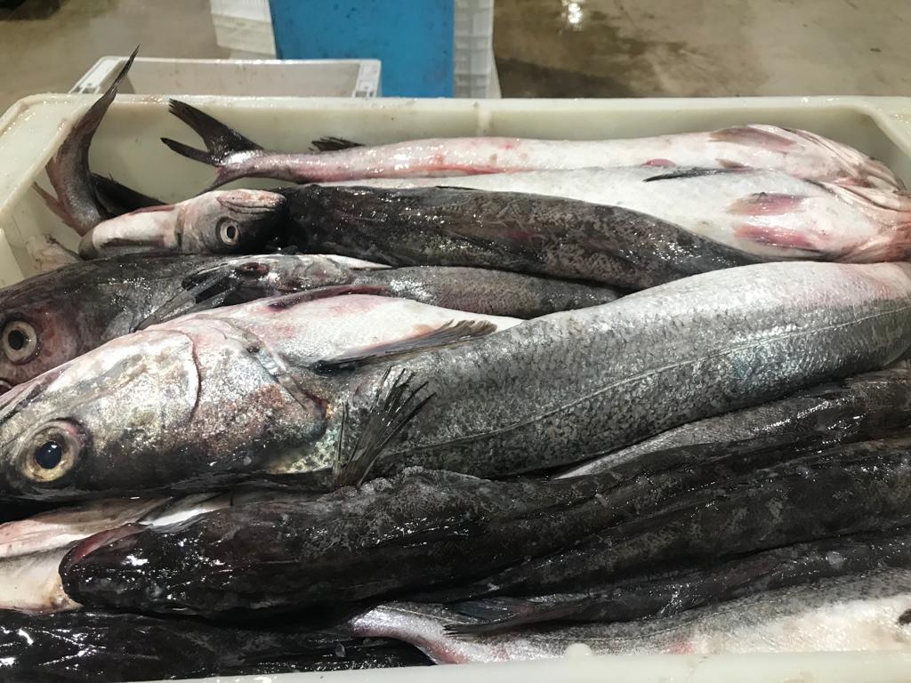 SOIP y cámaras buscan encontrar un punto de equilibrio. Por el momento, lejos