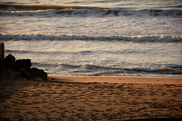 Escuela Nacional de Pesca capacita a sus estudiantes sobre discoloraciones en el mar