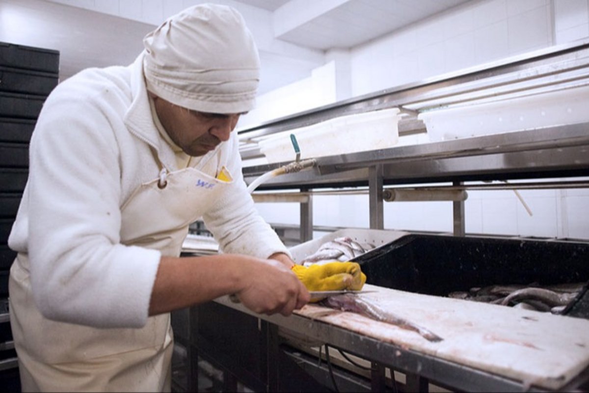 Chubut. Capacitan a trabajadores para plantas de fileteado