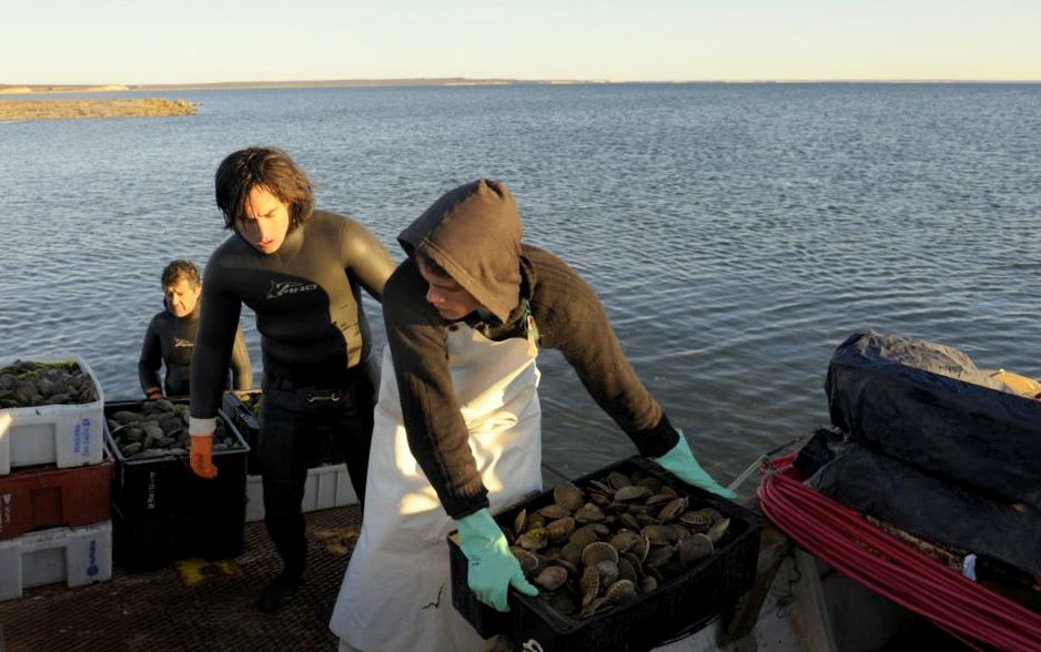 Pescadores artesanales de Comodoro Rivadavia solicitan se reabra el Consejo Municipal Pesquero