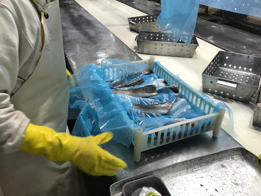 Cerraron acuerdos salariales el SOIP y el SICONARA