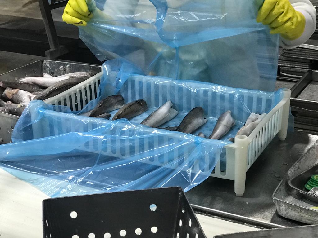 Reajustes de gremios por tramo final del convenio de fresqueros y plantas de procesado