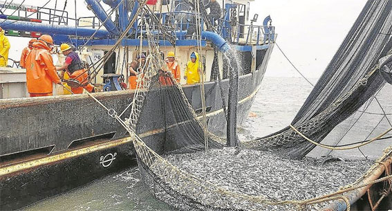 Perú busca equilibrio entre sostenibilidad y desarrollo económico del sector pesquero