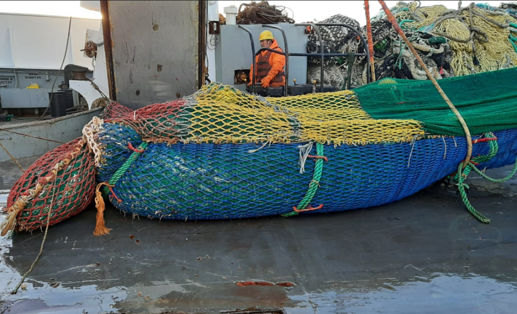 Prueban dispositivo de selectividad para la merluza de cola en el BP Echizen Maru