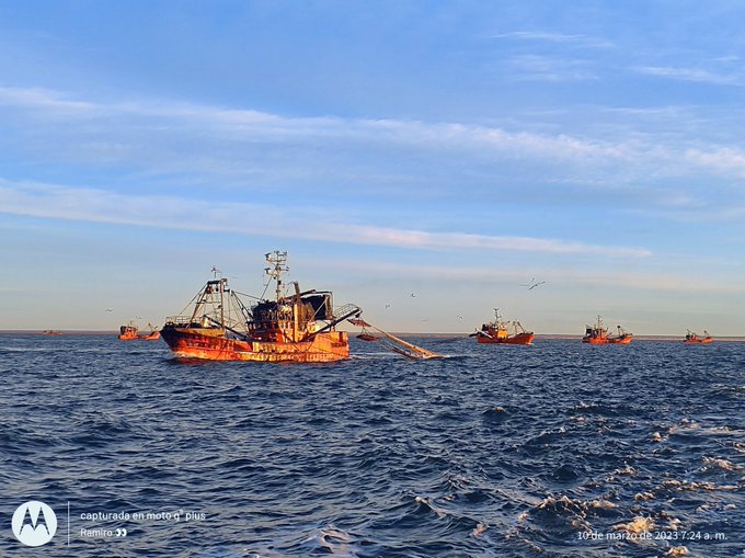 Langostino Chubut. Dictan la Conciliación Obligatoria y todos al trabajo